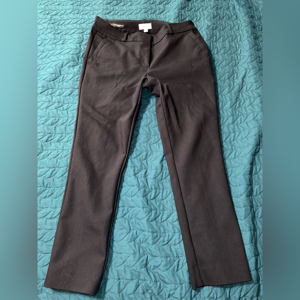Loft Petite Modern Skinny